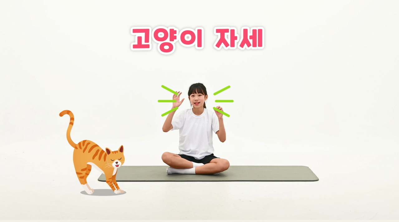 동물 요가